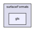 src/surfMesh/surfaceFormats/gts/